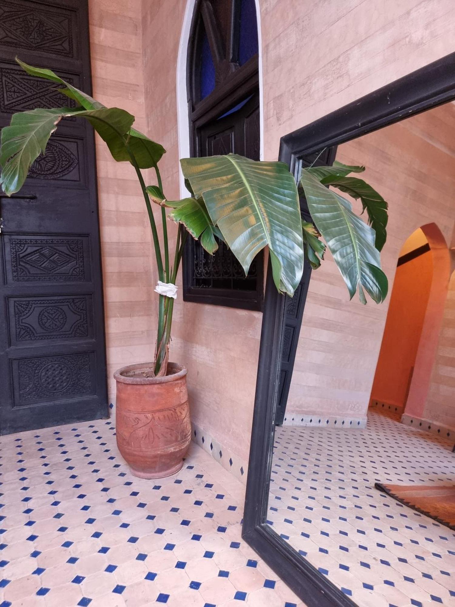 Riad Black Doors マラケシュ エクステリア 写真
