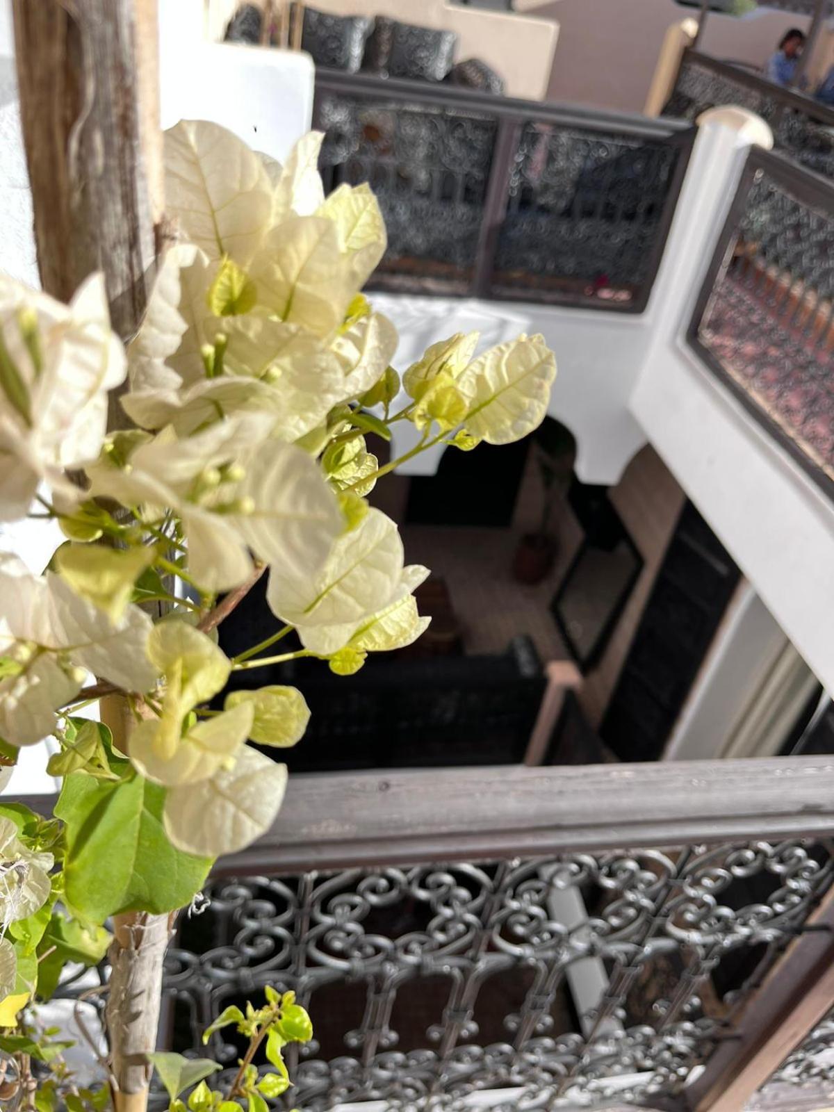 Riad Black Doors マラケシュ エクステリア 写真